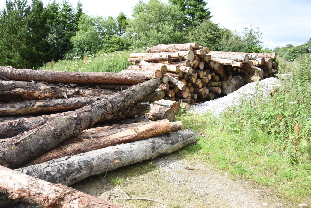 Large Log Pile